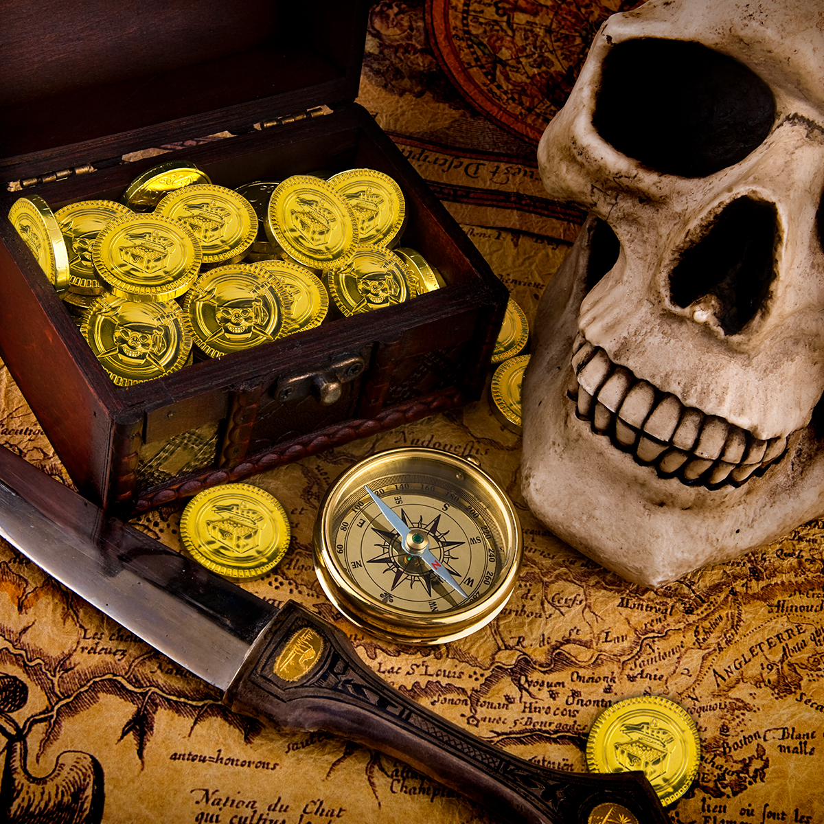 20/40pcs Pirate Coins Plastic  - Token Coin Mechanism recension och pris